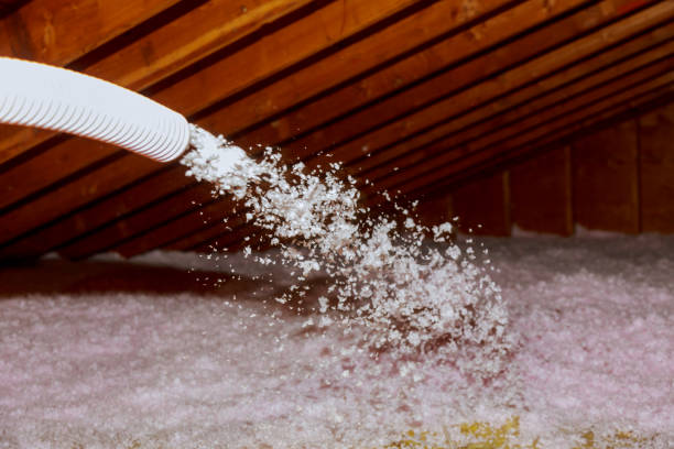 Best Blown-in Insulation  in Arbutus, MD