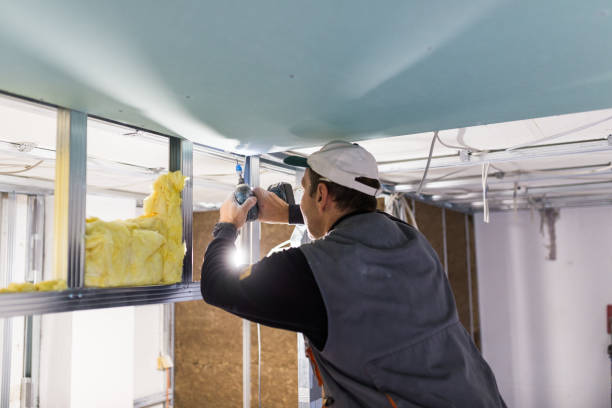 Best Wall Insulation Contractor  in Arbutus, MD