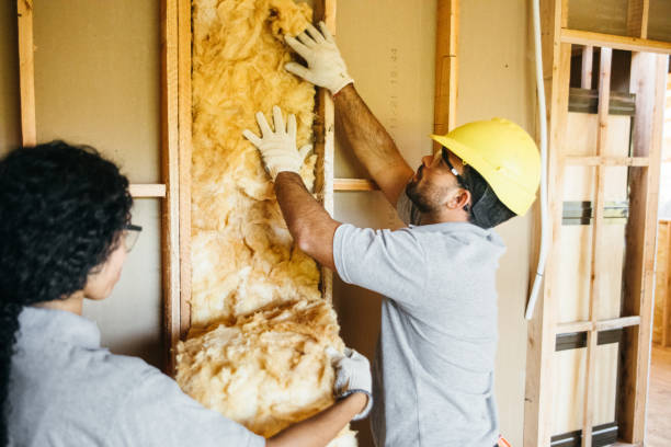 Best Insulation Removal Services  in Arbutus, MD